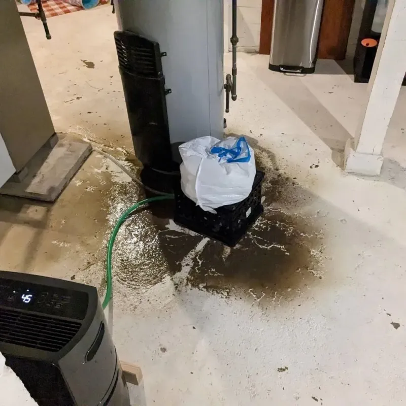 Sewage Backup Cleanup Service in McKeesport, PA